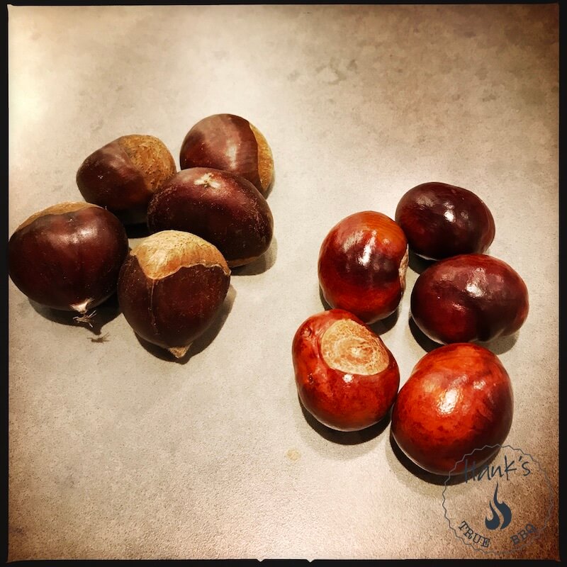 Chestnuts vs horse chestnuts