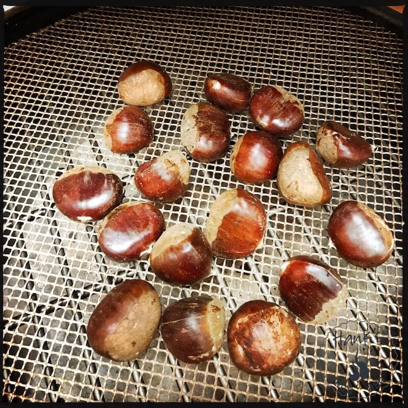 Chestnuts on the grill